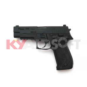 WE F226 Rail BK GBBP Full marking