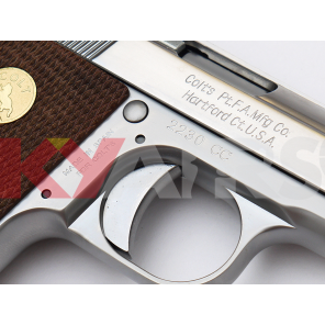 KY custom WE CT25 GBB pistol (Silver, JUNIOR 25 Marking)