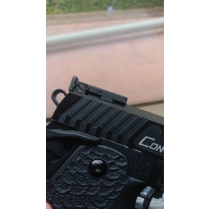 KY Custom HX series rear sight with STI TTI Marking