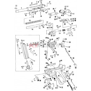 P08  #11     GBBP