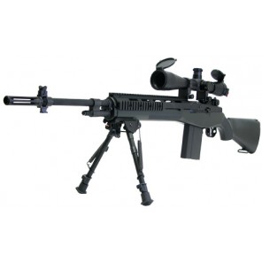 M14 RAS