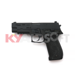 WE F226 Rail BK GBBP Full marking