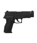 KY custom KJW KP01 P226 E2 (Full marking)