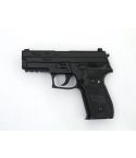 KY custom KJW KP02 P229 (Full marking)